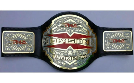 TNA Wrestling Championship Belts