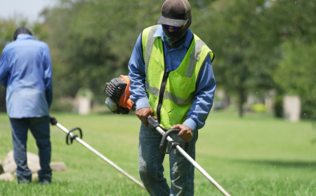 Create a Welcoming Property With Smart Landscaping in Fort Worth