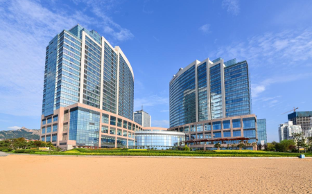 How to Choose the Best Orthopedic Hospital in Ghaziabad: 7 Things to Check