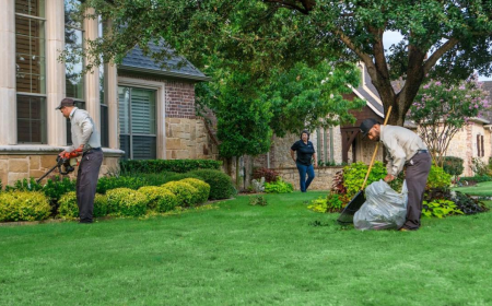 Texterra Lawn & Landscaping LLC Helps Create Beautiful Outdoor Spaces