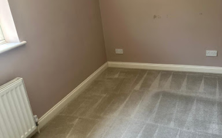 Professional Carpet Cleaning: How to Keep Your Carpets Fresh and Your Business Looking Its Best