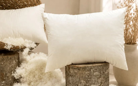 Why Choose a Sheep’s Wool Pillow for Better Sleep Comfort?
