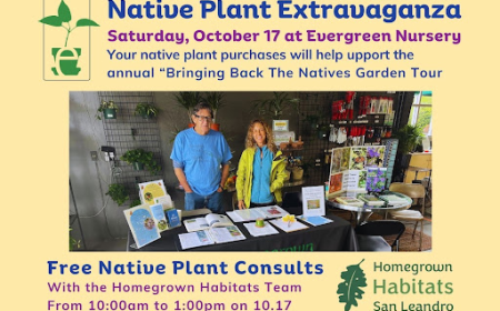 California Native Garden Event Oct 17 | Evergreen Nursery