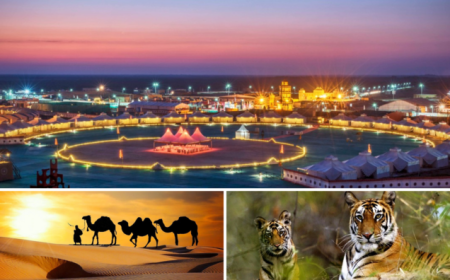 Gujarat Tour Packages for Food Lovers: Discover the Authentic Flavours of Gujarat