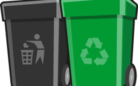 Trash Bin Cleaning Service for Fresh, Clean and Odor-Free Bins