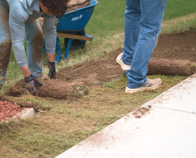 Price to Install Sod: How to Choose Quality Grass Without Overspending
