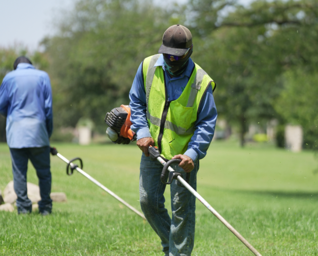 Create a Welcoming Property With Smart Landscaping in Fort Worth