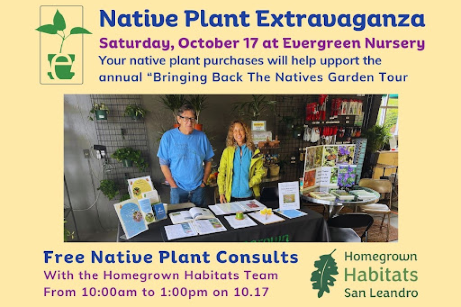 California Native Garden Event Oct 17 | Evergreen Nursery