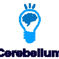 cerebellumacademy