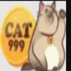 cat999kim