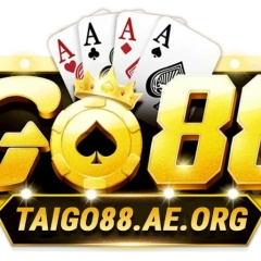 taigo88aeorg