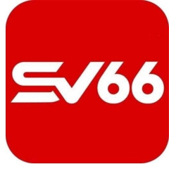sv66delivery
