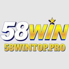 58wintoppro