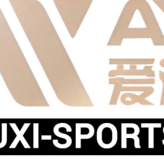 aiyouxisports