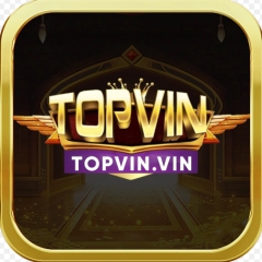 topvinvin