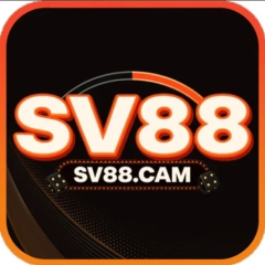 SV88cam
