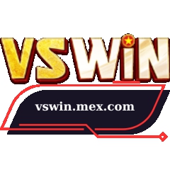 vswinmexcom