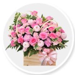 shophoatuoilongancom