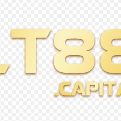 lt88capital