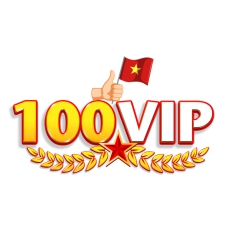 100vipdesign