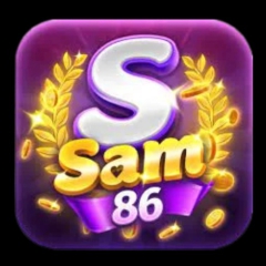 Sam86report