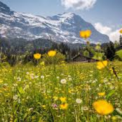 pratiksphericalinsight