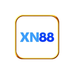 xn881net