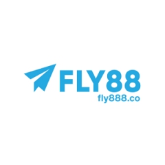 Fly888co