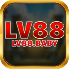 lv88      baby
