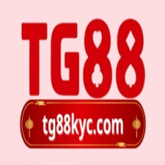 tg88kyccom
