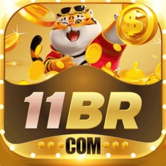 11brappvl3