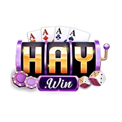 haywin88itcom