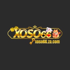 xs66vin