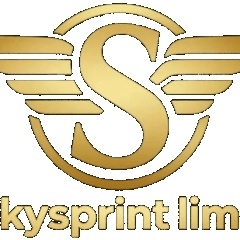 skysprintlimo0