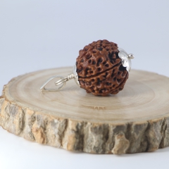 Buy6MukhiRudraksha