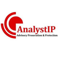 analystiplegalfirm