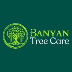 banyantreeremoval