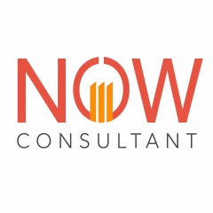 nowexperttaxconsultant
