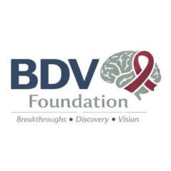 bdvfoundation