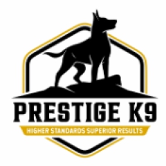 prestigek9