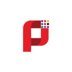 Panashi Technology Solutions