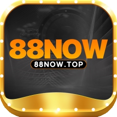 88nowtop