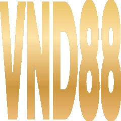 VND88edu