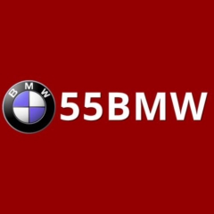 55bmworgphtop