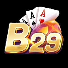 B29 29Com