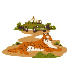 wildlifesafari