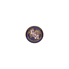 esvigroupinternational