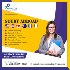 pinnacleoverseas